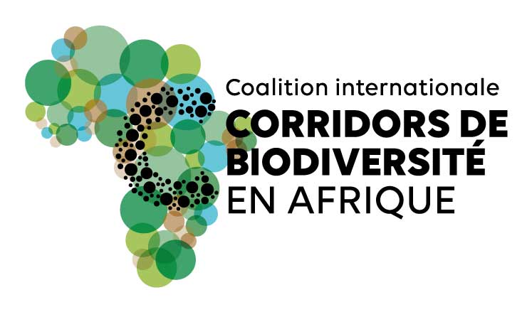 Coalition internationale corridors de biodiversité en Afrique